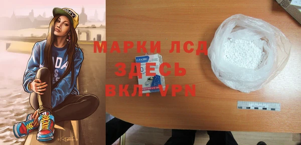 гашик Новозыбков
