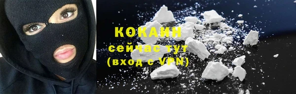 гашик Новозыбков