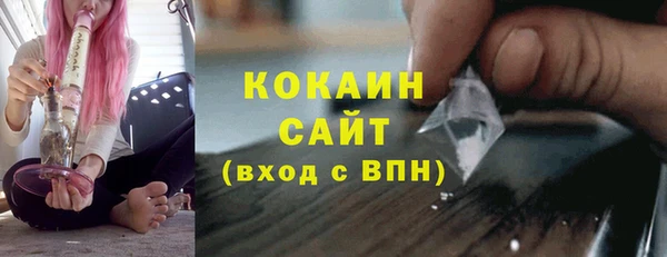 гашик Новозыбков