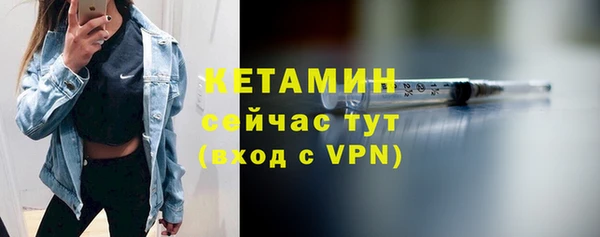 гашик Новозыбков