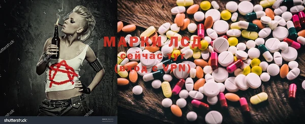 гашик Новозыбков