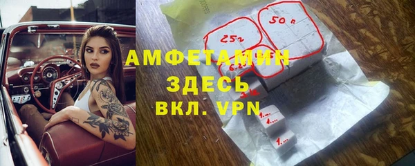 гашик Новозыбков