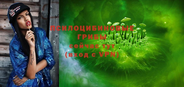 гидра Нея